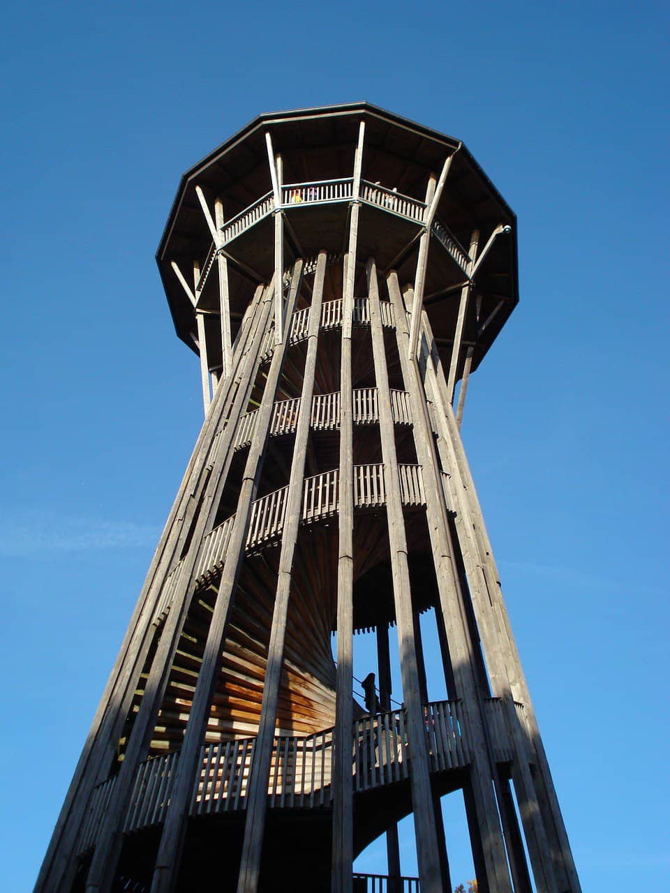 מגדל התצפית מעץ ביער סאבבלין