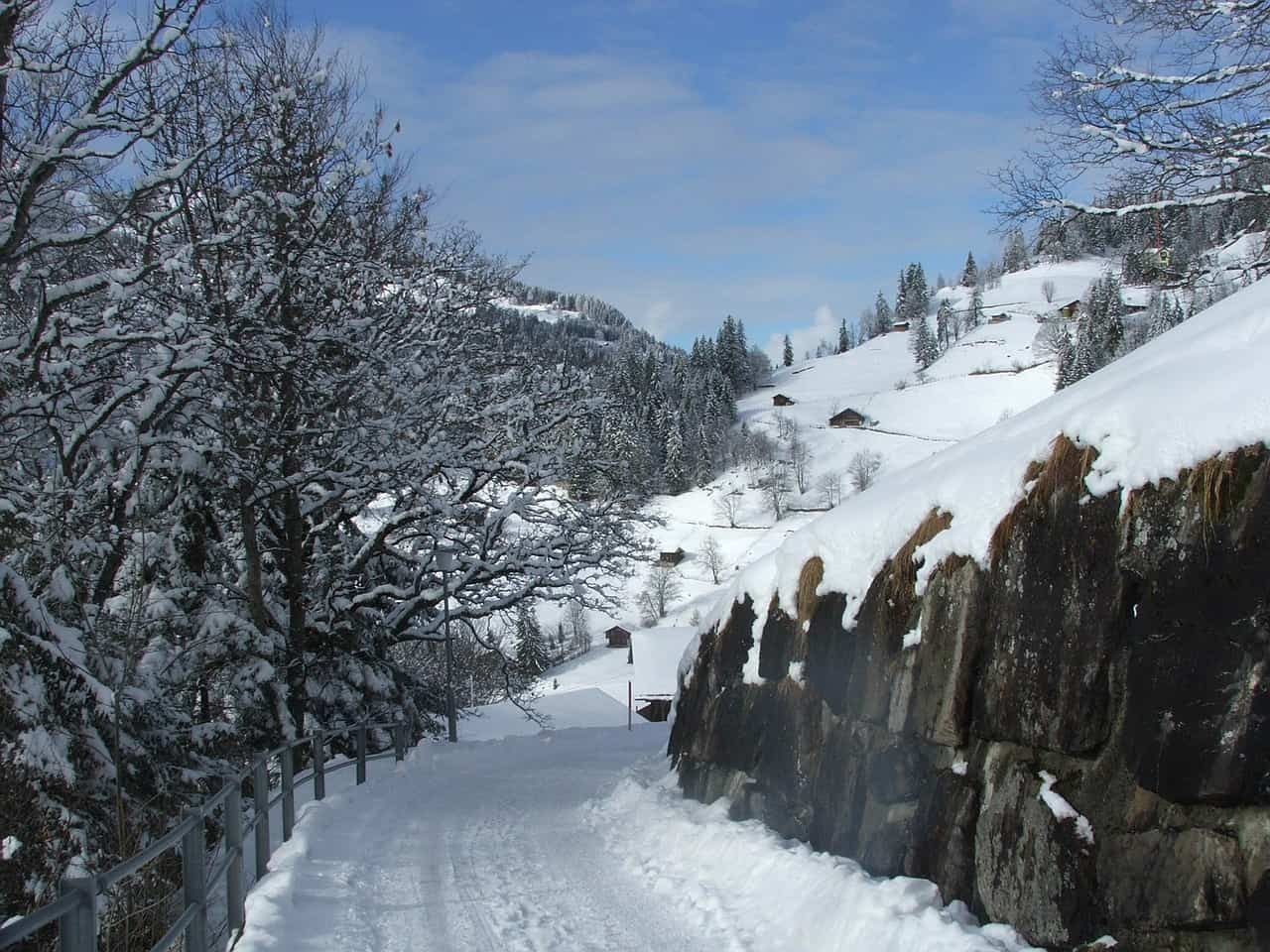 מסלול סקי בקרבת ונגן